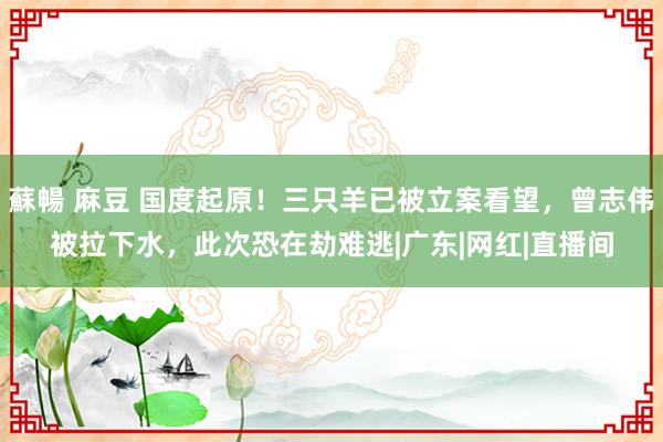 蘇暢 麻豆 国度起原！三只羊已被立案看望，曾志伟被拉下水，此次恐在劫难逃|广东|网红|直播间